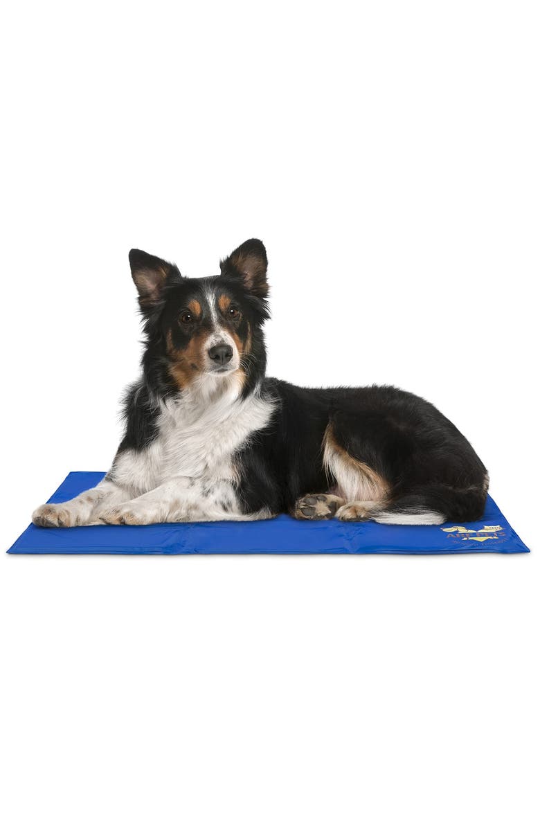 Arf Pets Dog Cooling Mat with Durable Non-Toxic Gel Design, Main, color, Blue