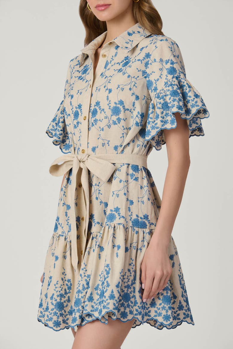 Lima Serra Embroidery Dress, Alternate, color, Flax/Powder Blue
