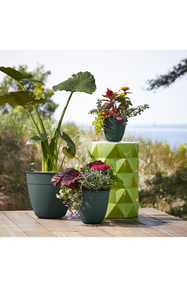 Bloem 20 Inch Dayton Planter With Saucer, Turtle Green, Alternate, color, Green