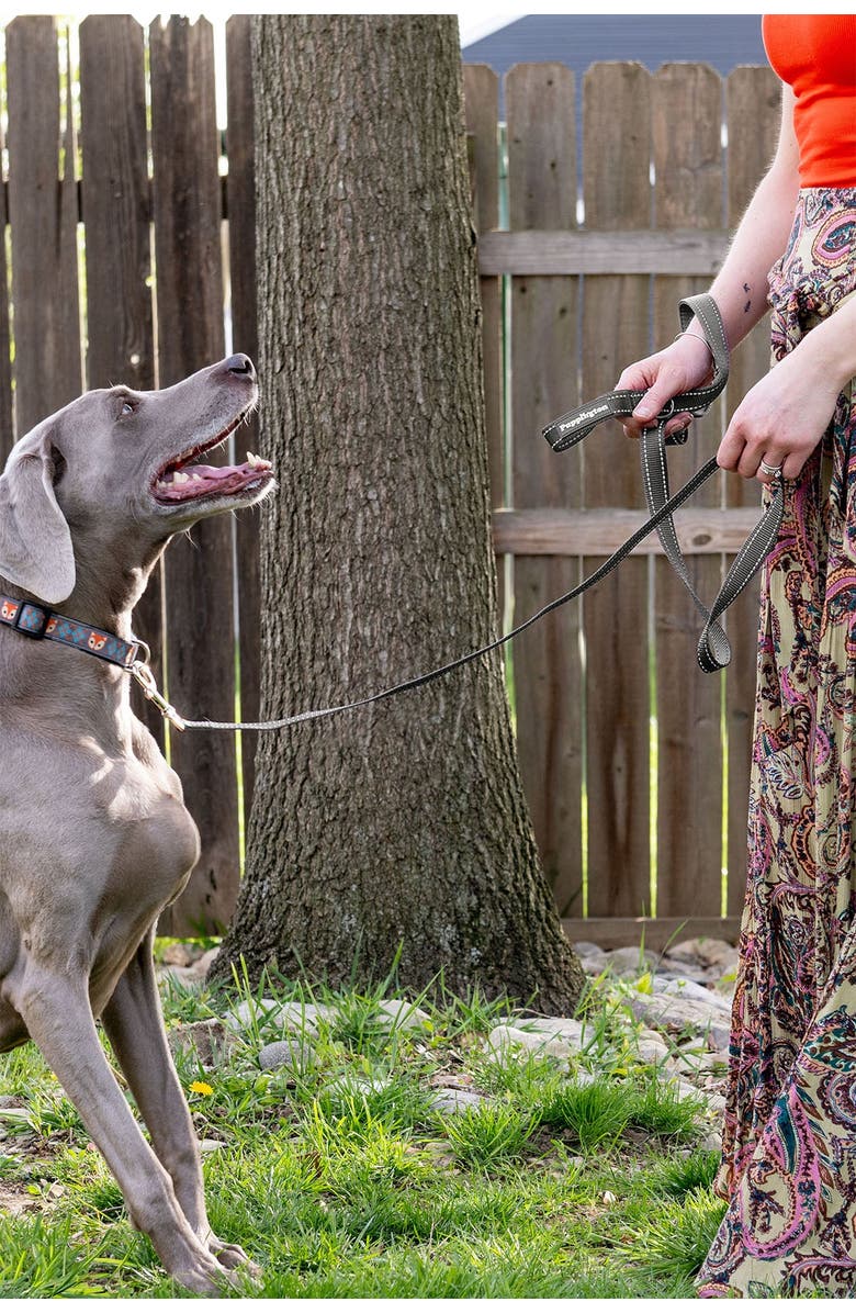 Puppington Reflective Leash, Alternate, color, Charcoal Gray