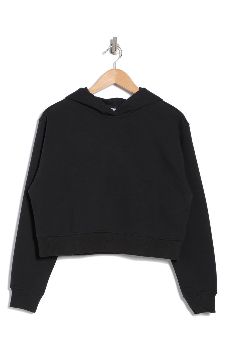 Abound Everyday Fleece Hoodie, Alternate, color, 