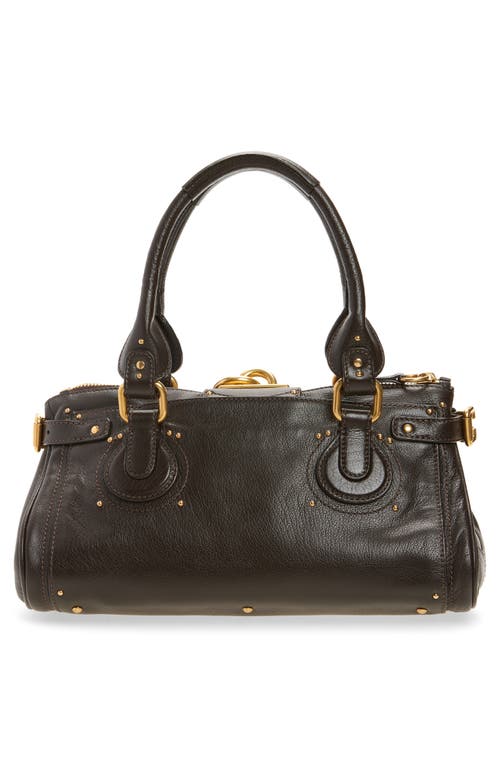Chloé Women Kohl Brown Paddington Shoulder Bag In Brown