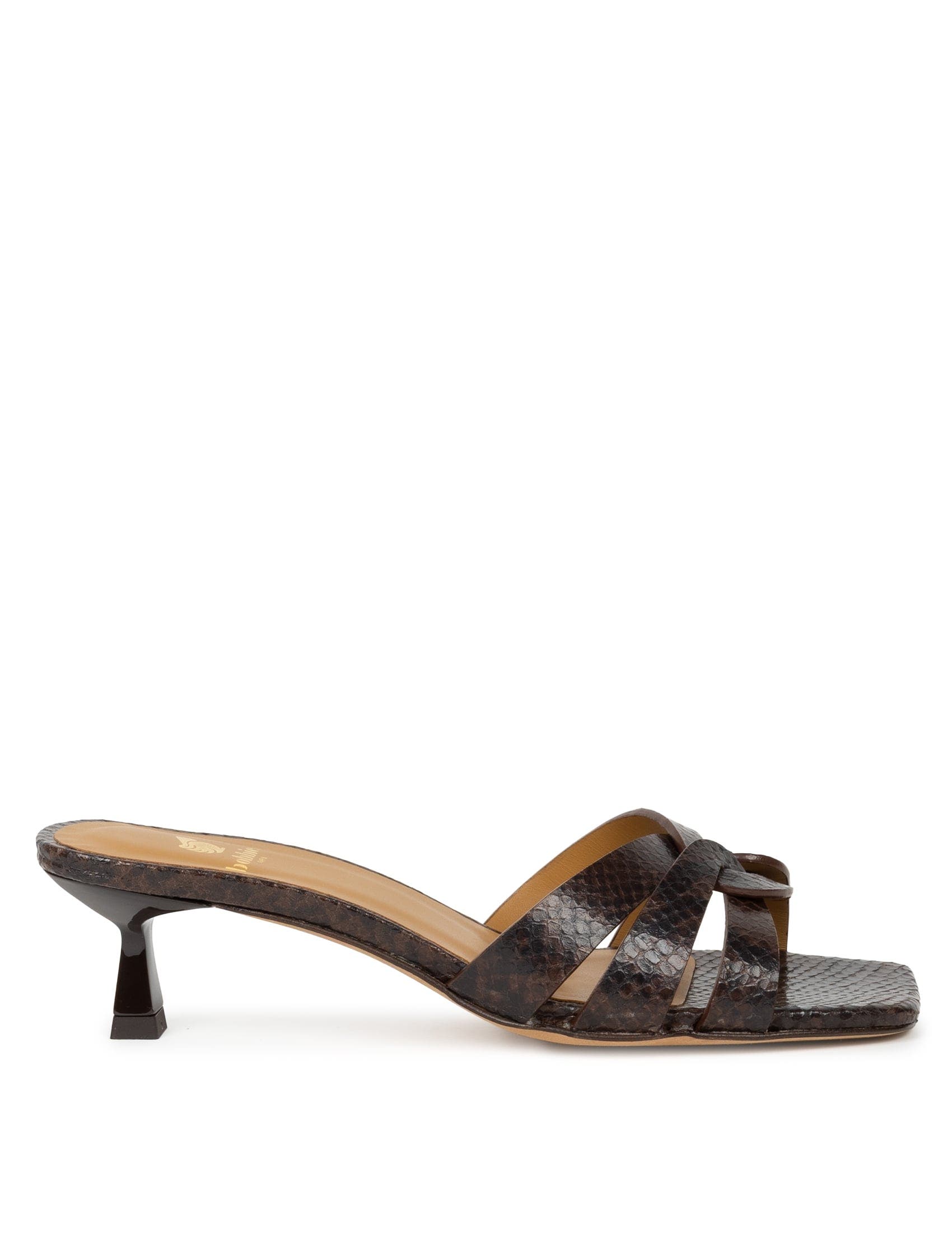 Cobra Brown