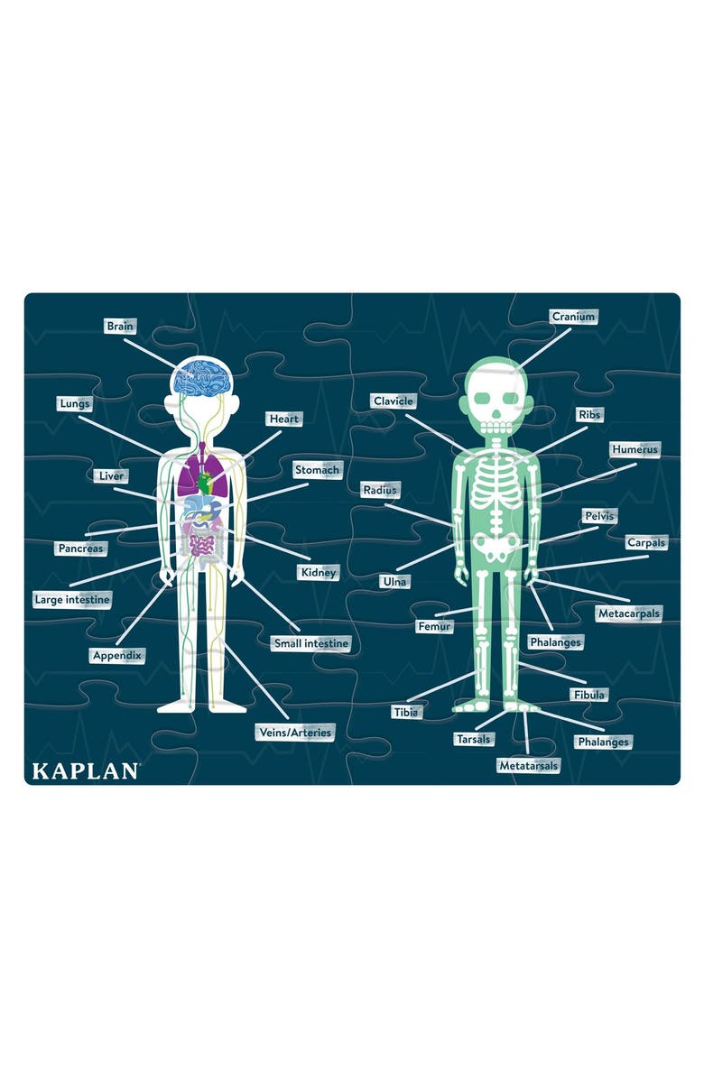 Kaplan Early Learning Company Human Body Puzzle - 24 Pieces, Main, color, Multicolored