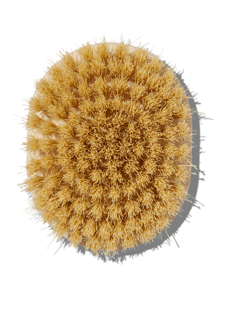 The Dry Massage Body Brush