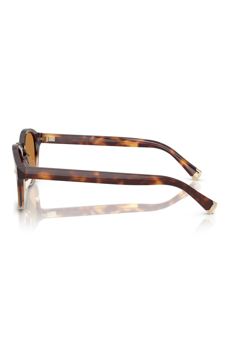 50mm Square Sunglasses, Alternate, color, HAVANA / CRYSTAL / PECAN