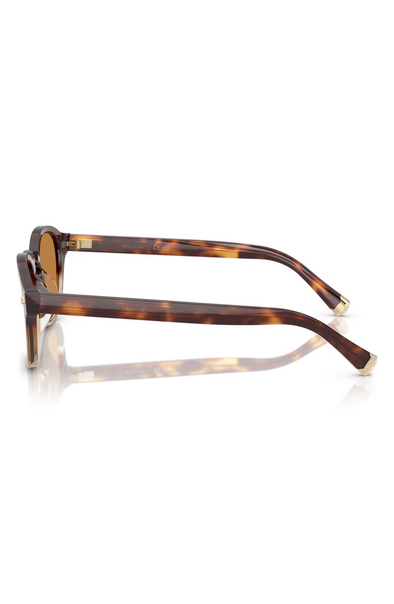 Brunello Cucinelli 50mm Square Sunglasses, Alternate, color, Havana / Crystal / Pecan