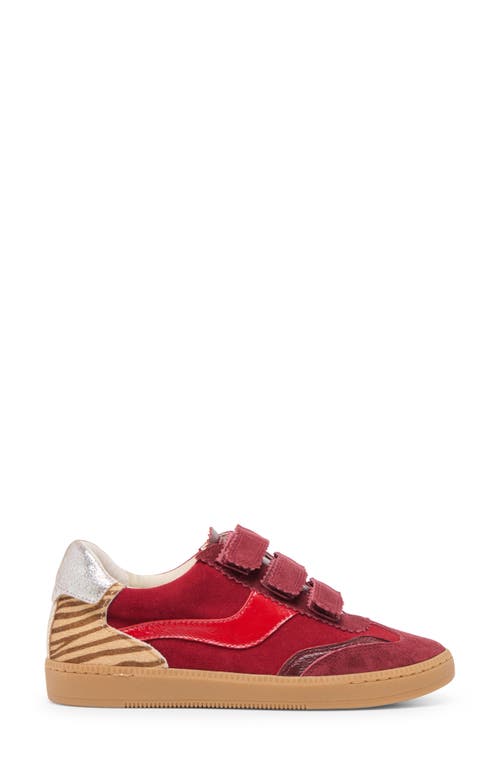Dolce Vita Notice Sneaker In Red