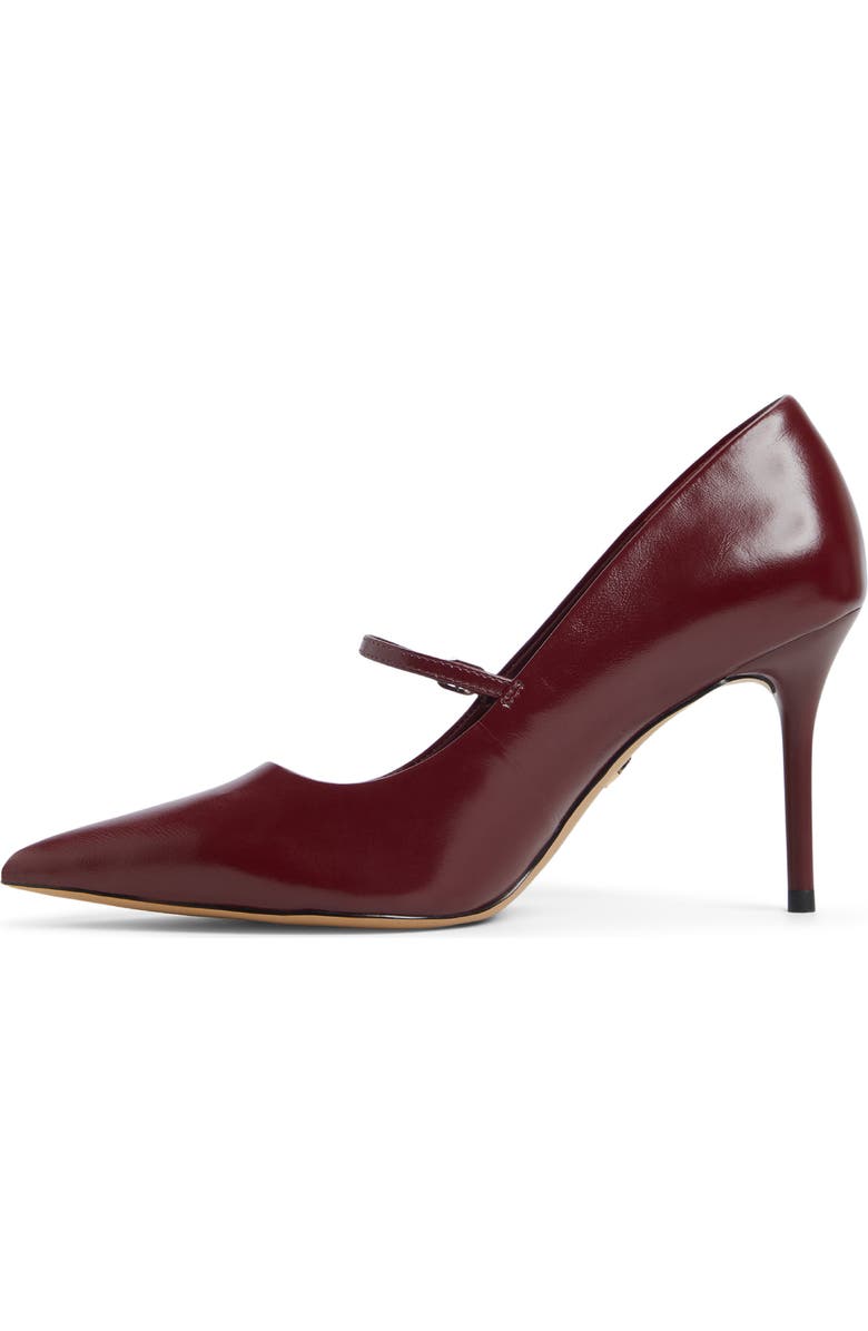 ALDO Eledeladar Pointed Toe Mary Jane Pump, Alternate, color, Burgundy