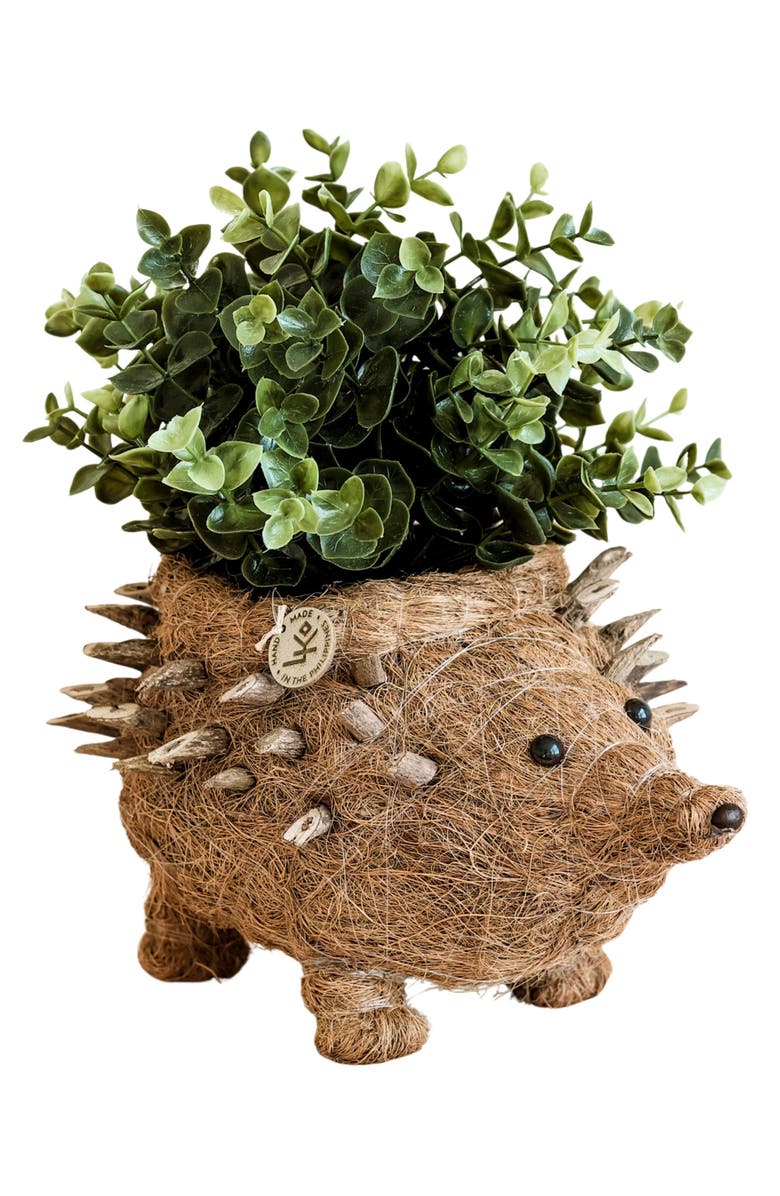 LIKHA Hedgehog Handwoven Planter, Main, color, Brown