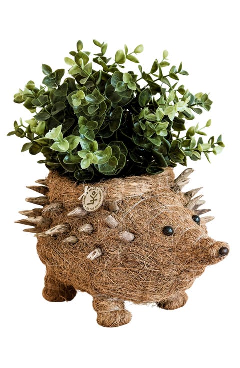 Hedgehog Handwoven Planter