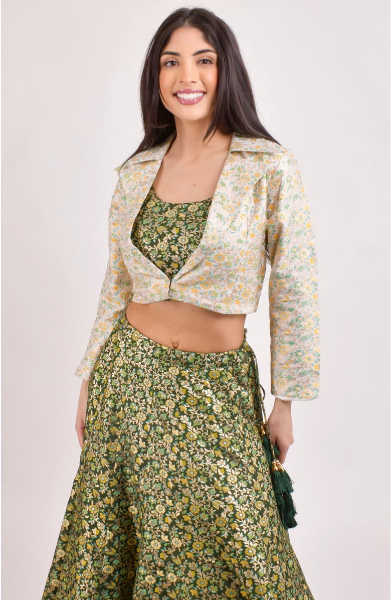 RAAS Zele Banarasi Lehenga Choli With Jacket, Alternate, color,