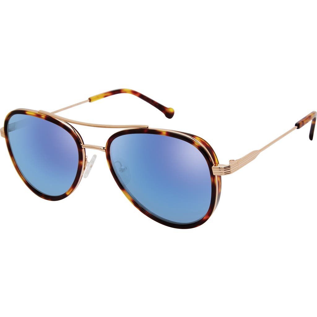 Colors In Optics Hampton Sunglasses In Tortoise Gold