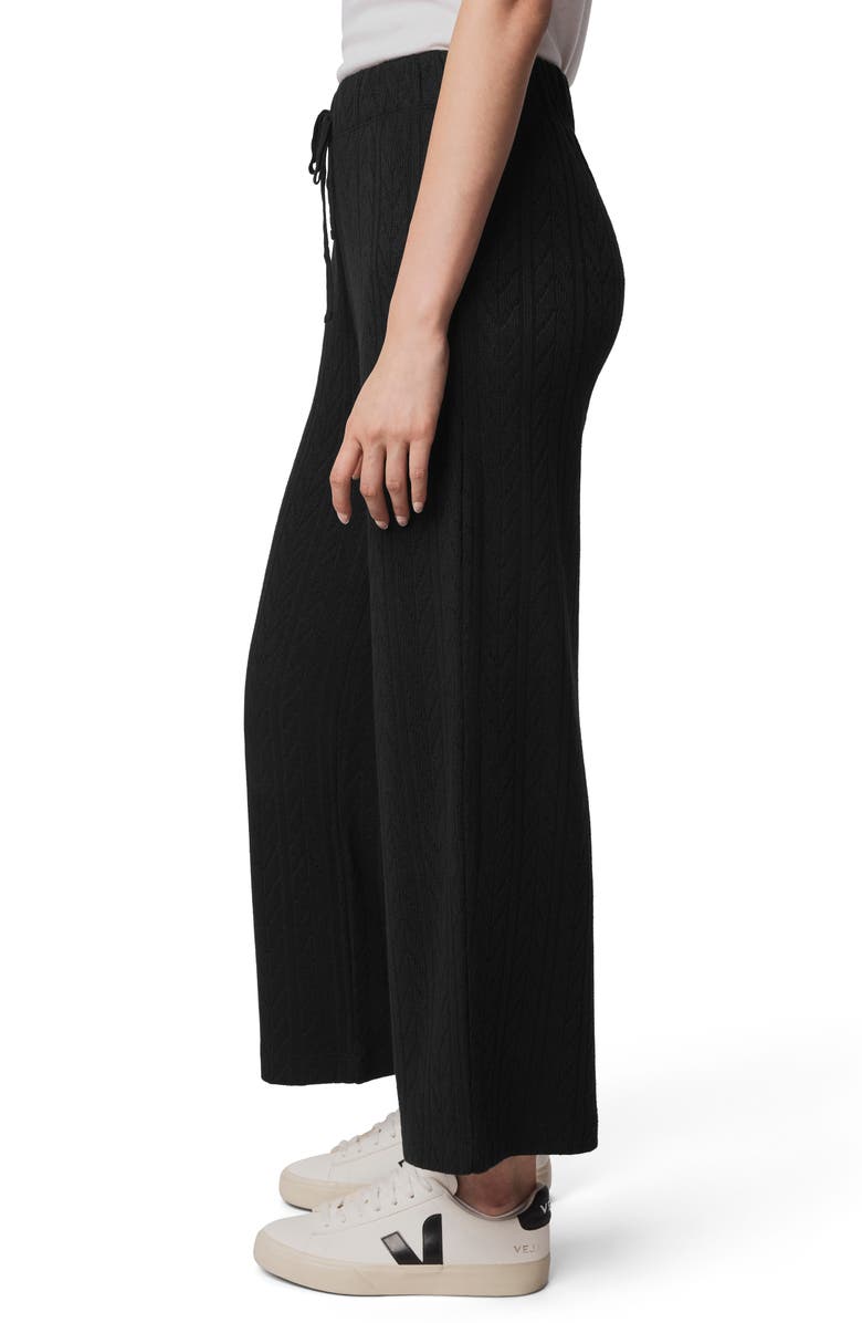 Splendid Sweatersoft Pants, Alternate, color, Black