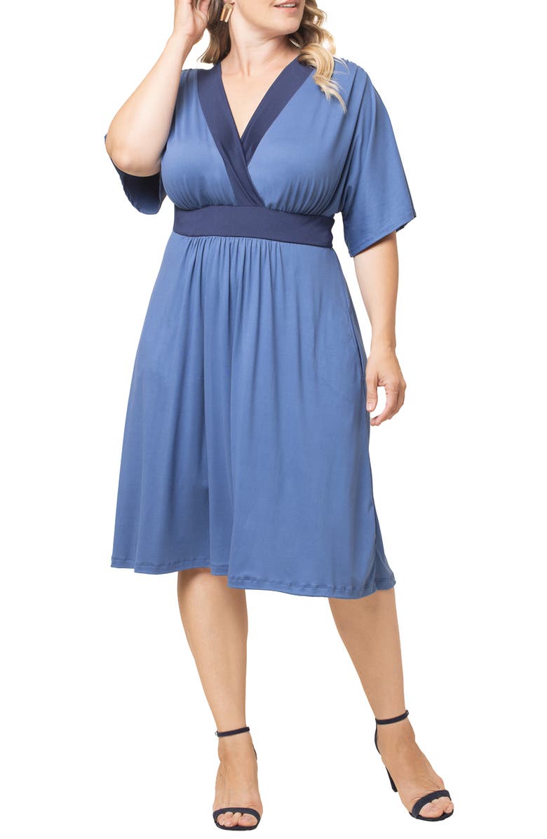 Kiyonna Paige Colorblock Dress, Main, color,