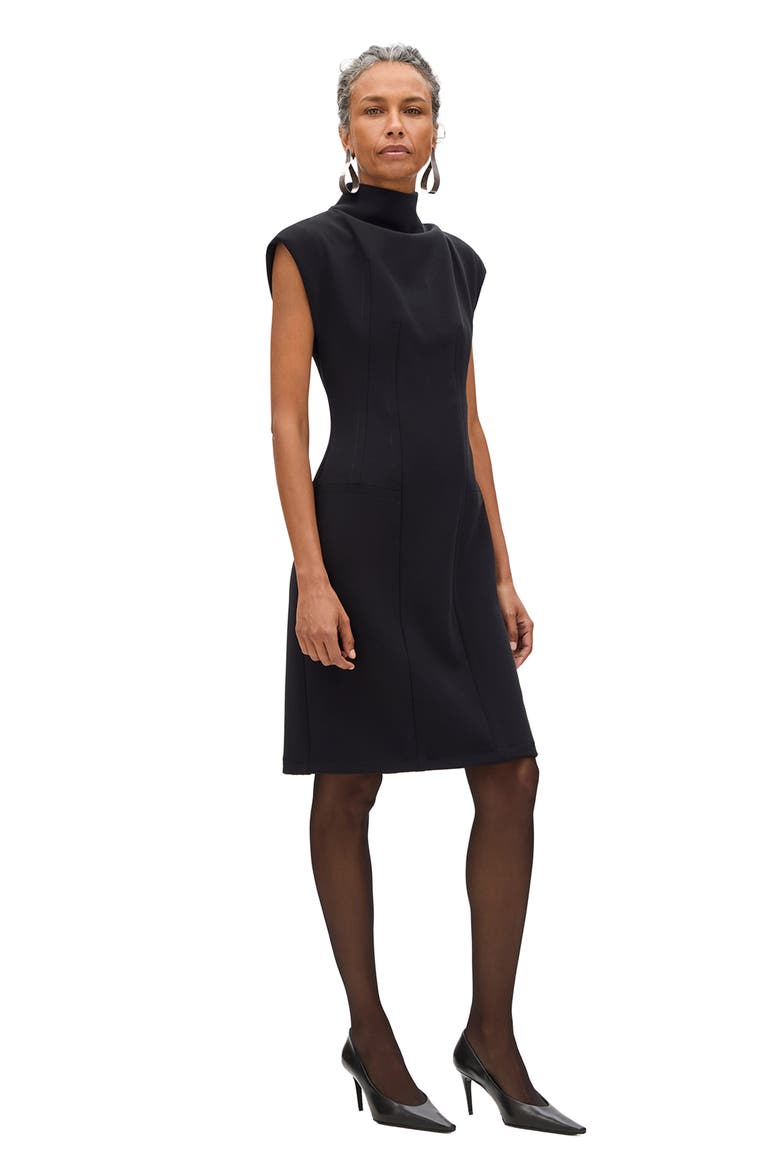 Double Face Cowl Dress, Alternate, color, Black