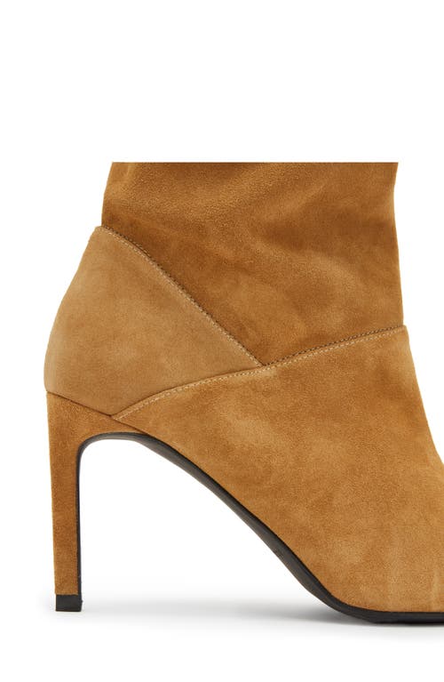 Allsaints Orlana Pointed Toe Boot In Brown
