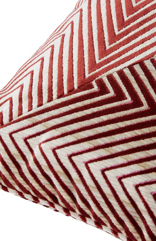 Missoni Home Ziggy Cushion 60x60 Cm In Brown