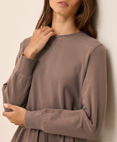 Pact Organic Cotton Cloudknit Sweatshirt Dress In Brown