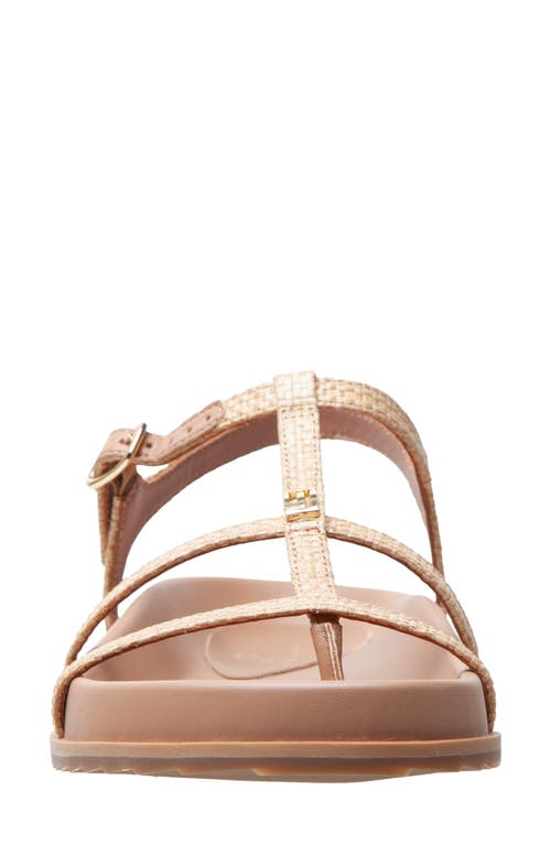 Linea Paolo Lilith Ankle Strap Sandal