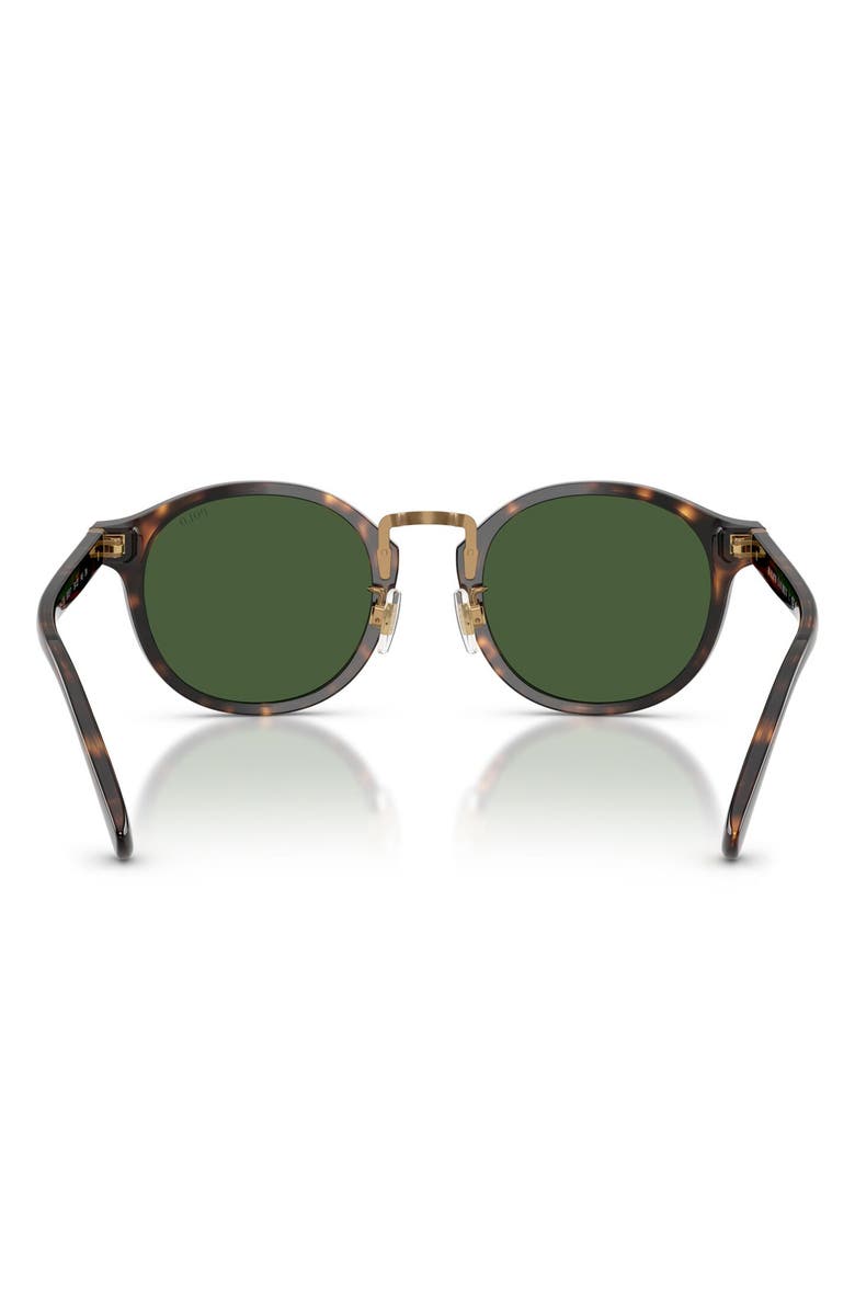 Polo Ralph Lauren 50mm Round Sunglasses, Alternate, color, Shiny Dark Havana / Green