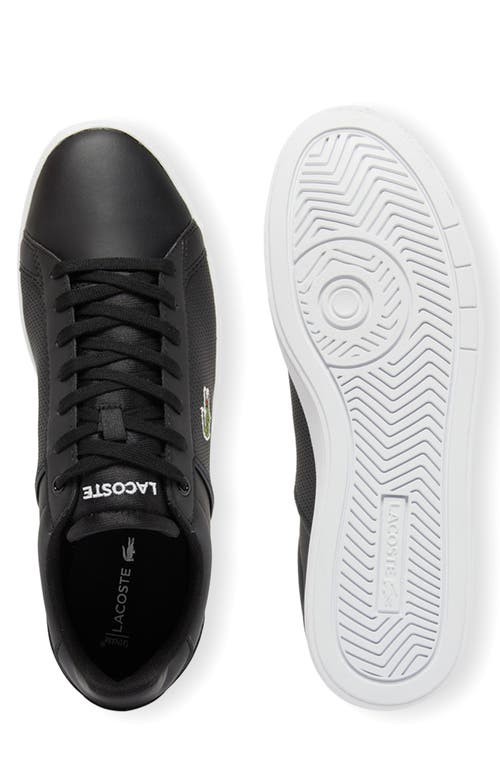 Lacoste Low Top Court Sneaker In Multi