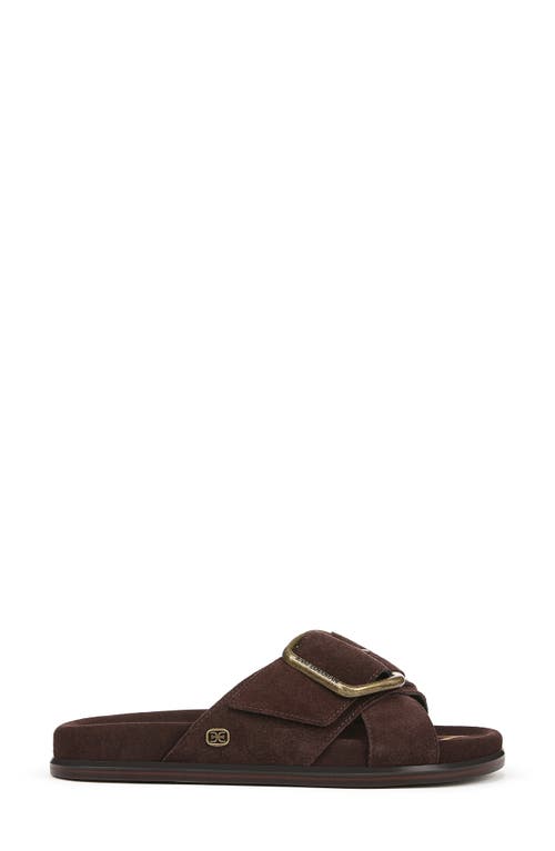 Sam Edelman Darla Buckle Slide Sandal Cafe Noir Suede In Cafe Noir