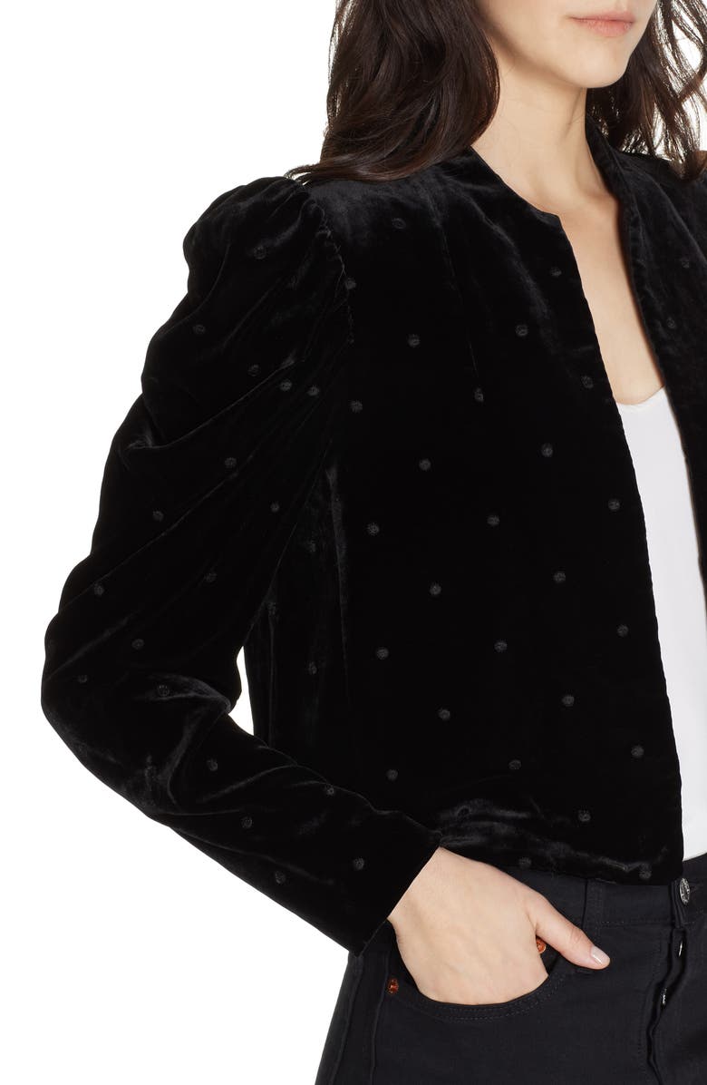 Ulla Johnson Orli Dot Velvet Blazer, Alternate, color,
