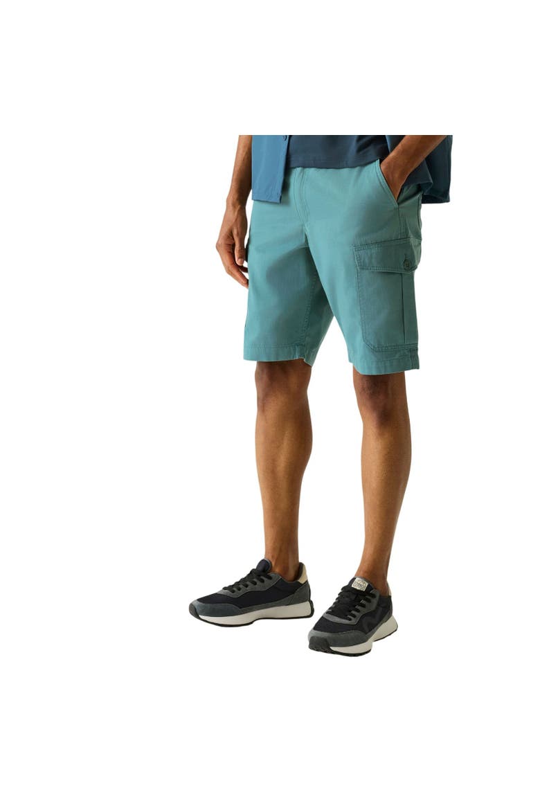 Ruwan Casual Shorts, Alternate, color, Arctic