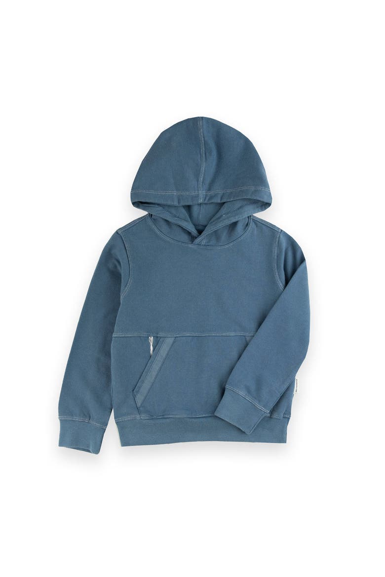 Spider Hoodie, Main, color, Coronet Blue
