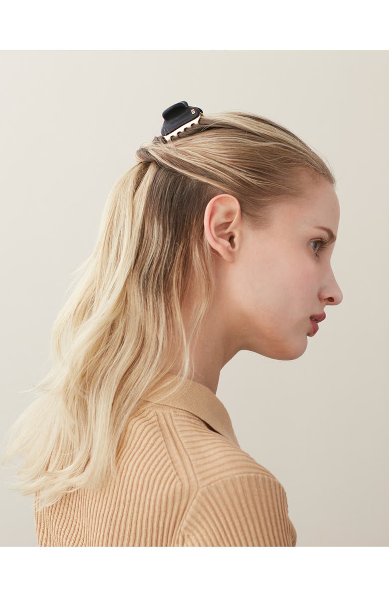 Alexandre de Paris Vendome Crystal Small Hair Clip, Alternate, color, Brown