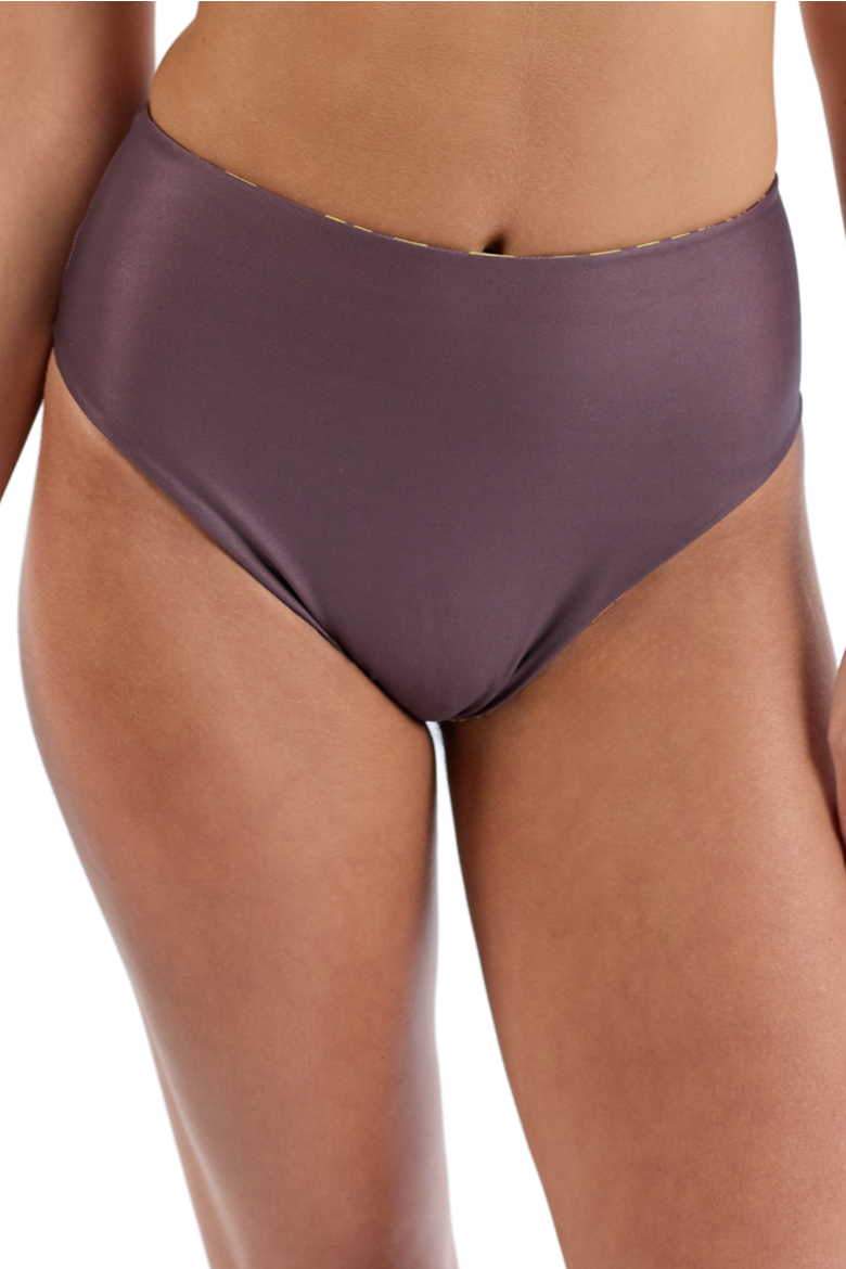 The Africa - High Waist Bikini Bottom Reversible, Alternate, color, Brown