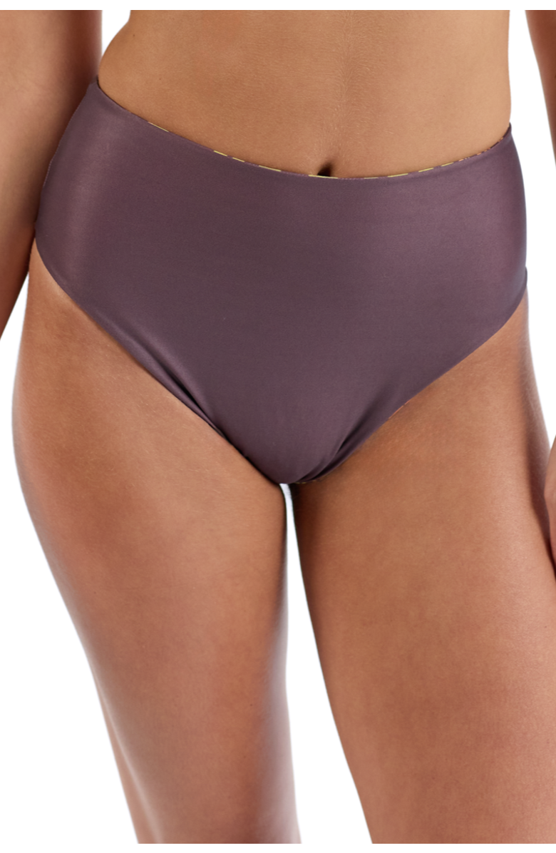 Kenny Flowers The Africa - High Waist Bikini Bottom Reversible, Alternate, color, Brown