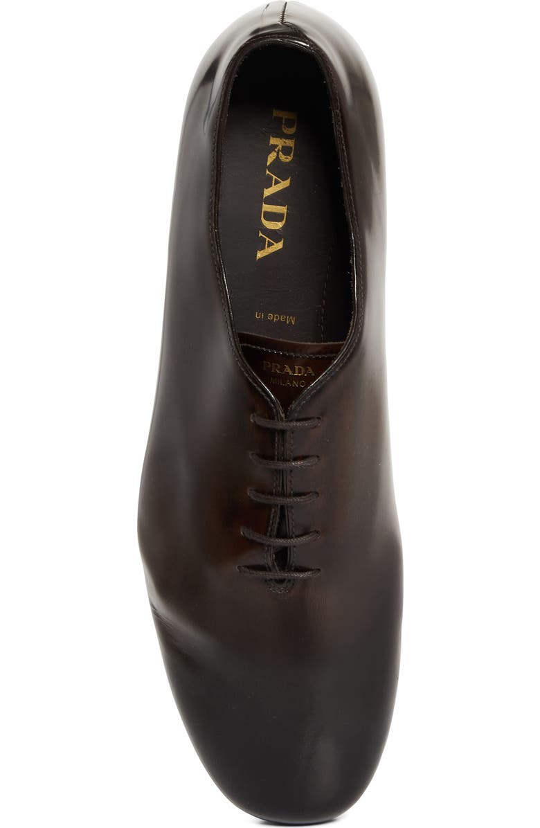 Prada Analog Oxford, Alternate, color, Bruciato