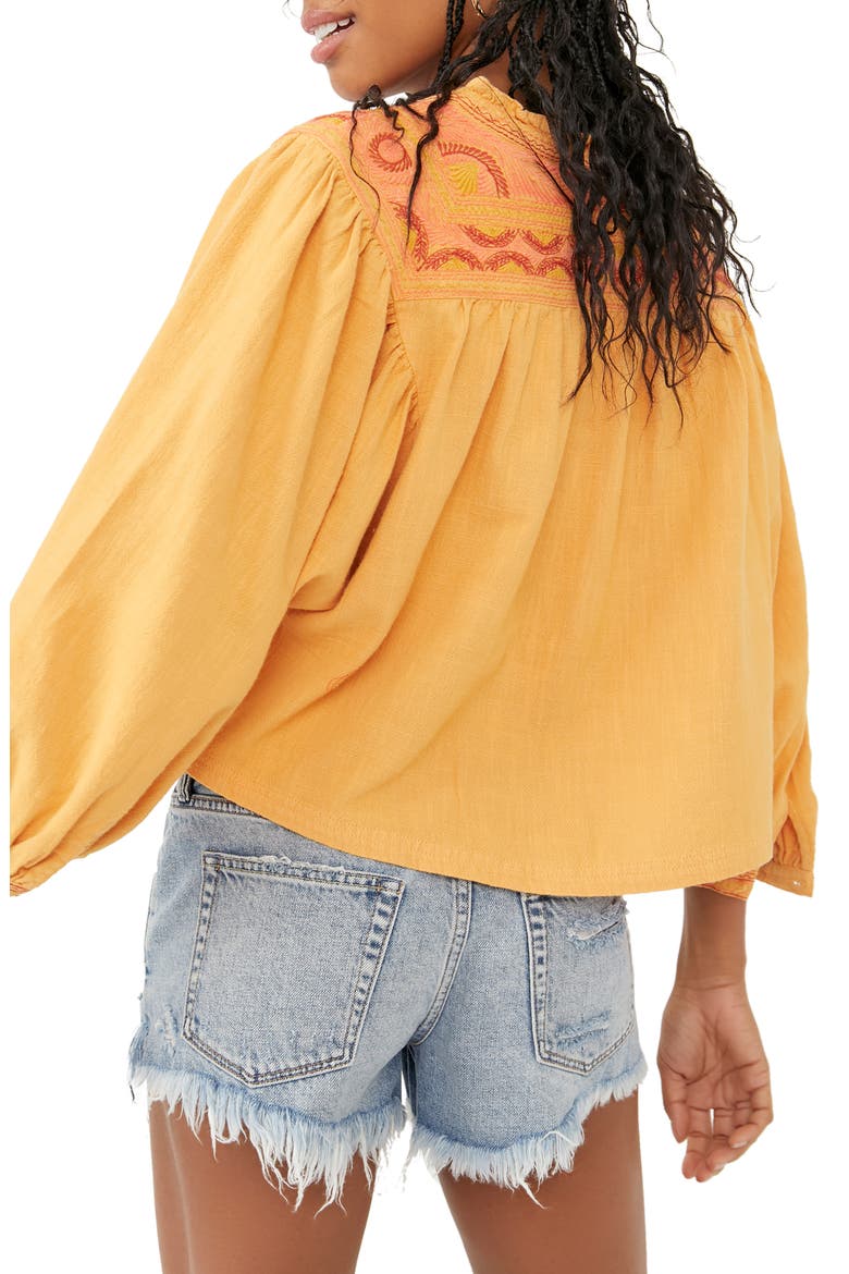 Iggie Embroidered Blouse, Alternate, color, CAIRO COMBO