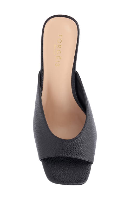 Torgeis Carissa Slide Sandal In Black