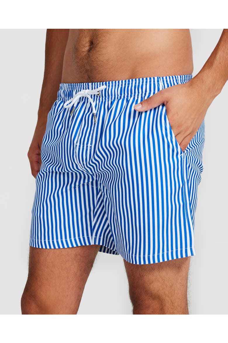 Corfu Swim Short, Alternate, color, Blue & White Pin Stripe
