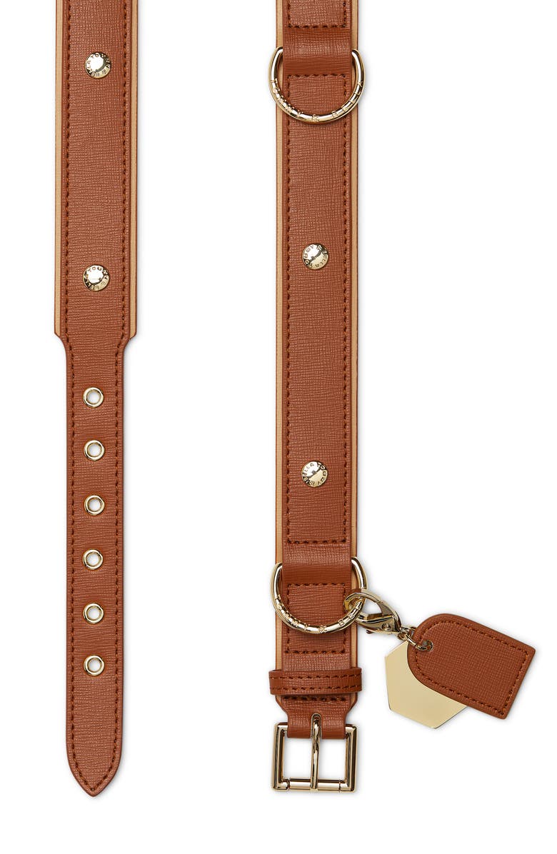 TOMMY AND BELLA Tommy & Bella Signature Collection Leather Dog Collar, Alternate, color,