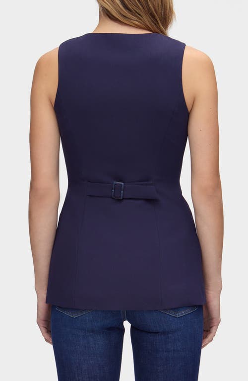 Aligne Leo Vest In Blue