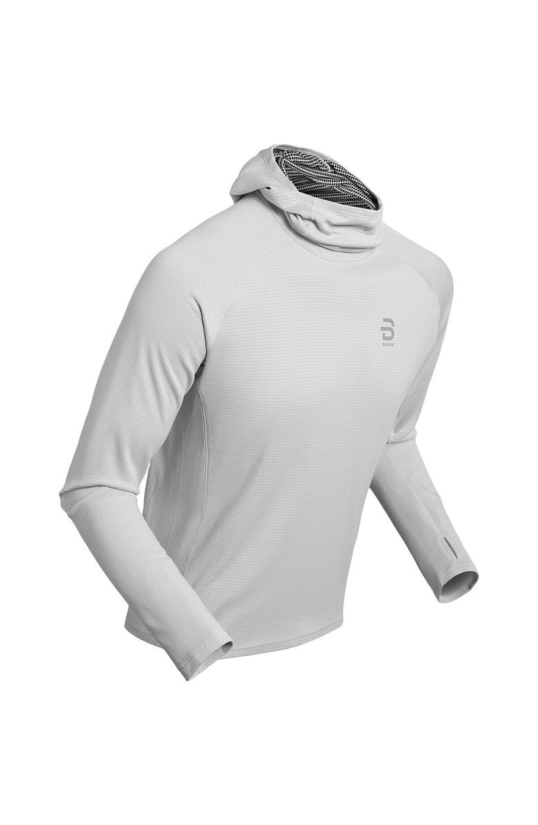 Bjorn Daehlie Run 365 Long-Sleeve Top - Men's, Alternate, color, Quiet Grey