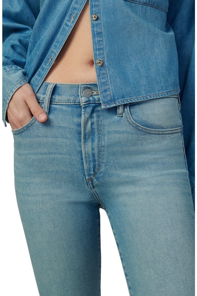 The Charlie Ankle Skinny Jeans, Alternate, color, SNATCHED