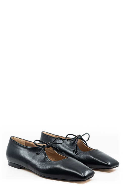 Andrea Gomez Amelia Leather Ballet Flats In Black