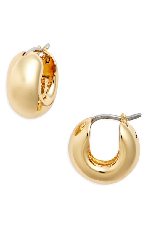 Jenny Bird Mini Tome Huggie Hoop Earrings In Gold