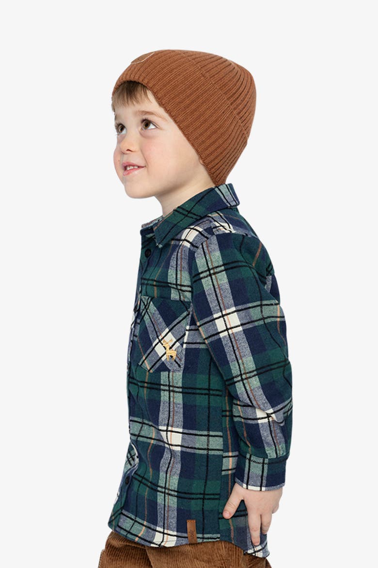 Plaid Button Front Shirt Collar Shirt, Alternate, color, Blue and Green Checks