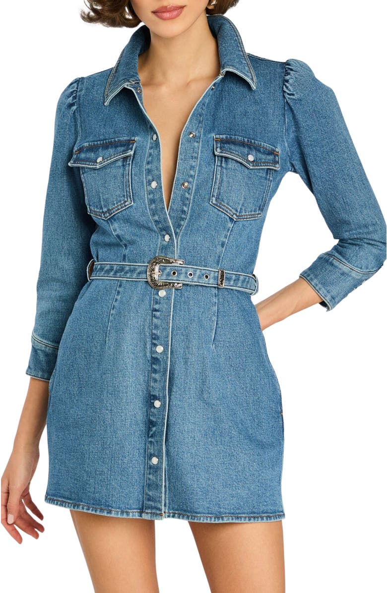 Retrofête Wiley Dress, Alternate, color, 