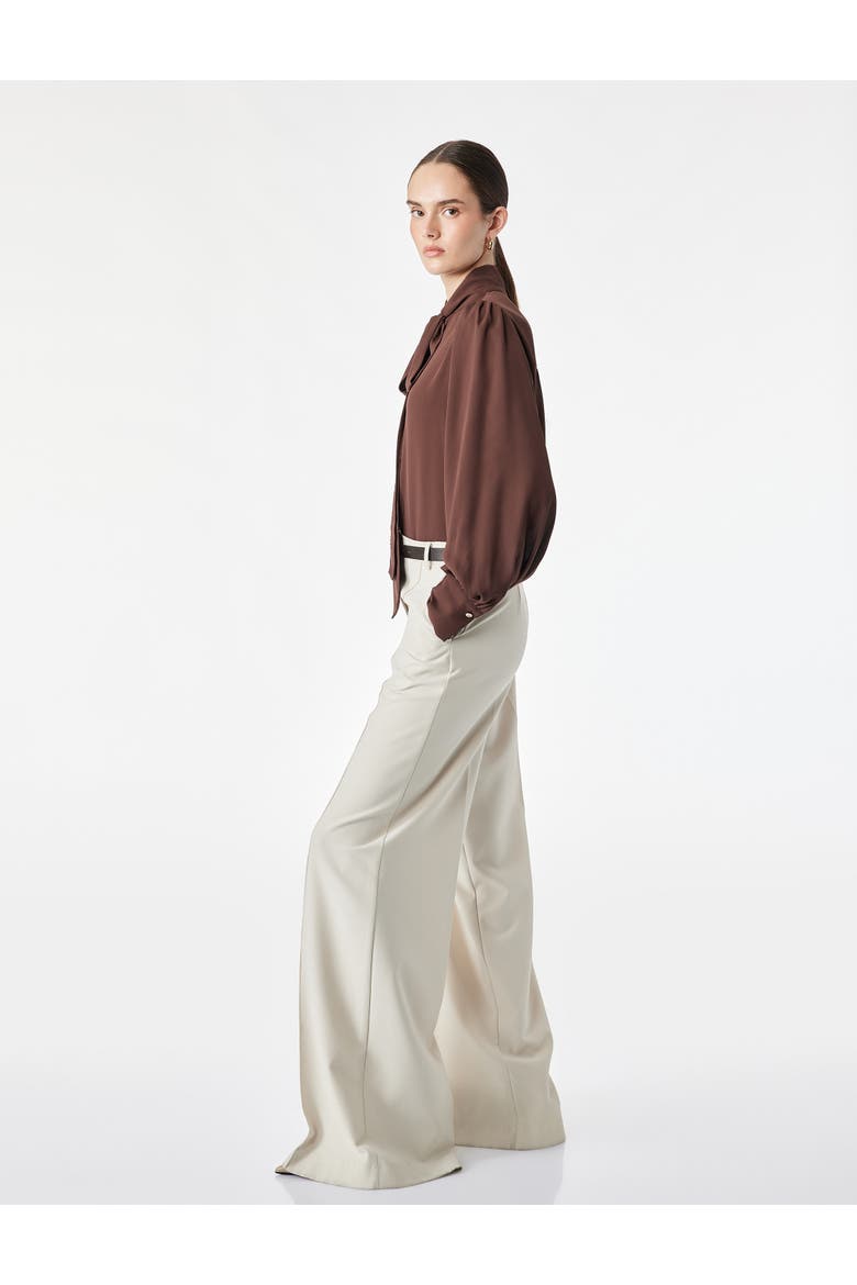Long Sleeve Blouse, Alternate, color, COFFEE