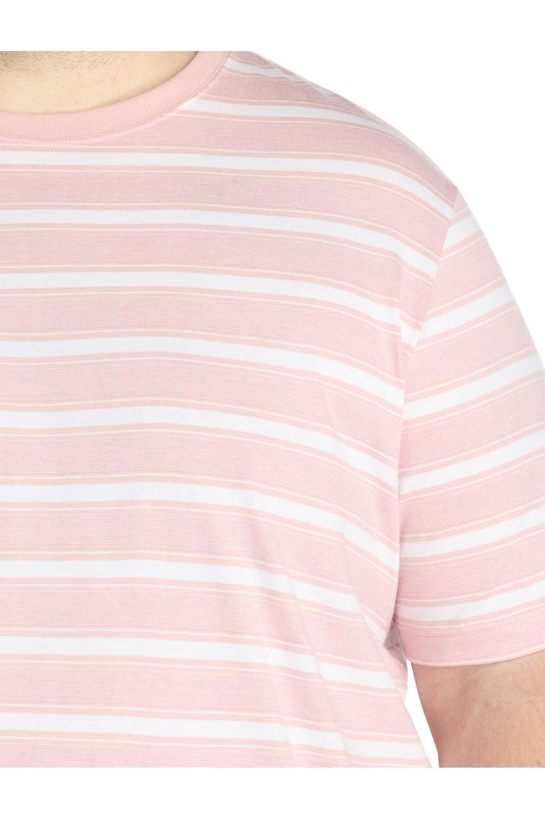 Big & Tall Moisture-Wicking Striped T-Shirt, Alternate, color, SILVER PINK