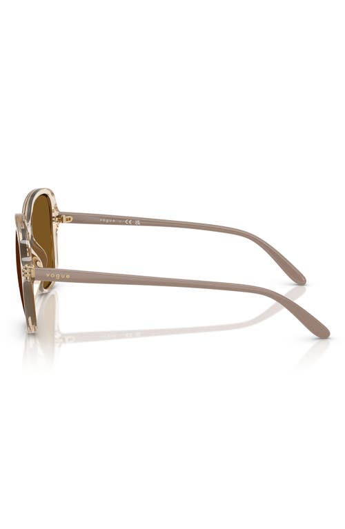Vogue 53mm Square Sunglasses In Brown