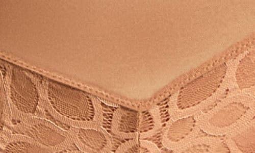 Panache Allure Lace Cheeky Briefs In Brown