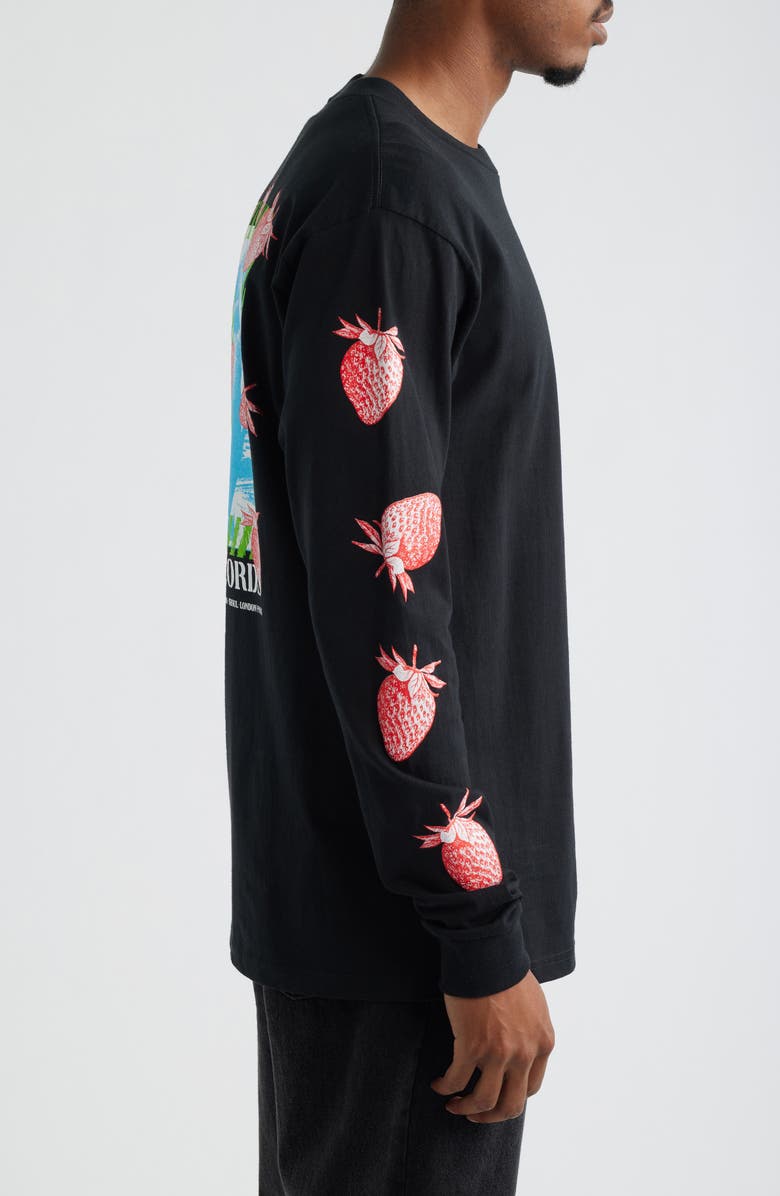 Obey Strawberry Garden Long Sleeve Cotton Graphic T-Shirt, Alternate, color, Black